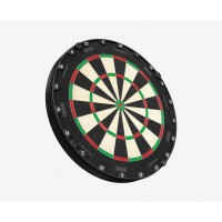 Aspar Professional Dartboard