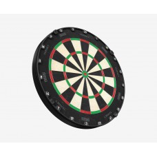 Aspar Professional Dartboard